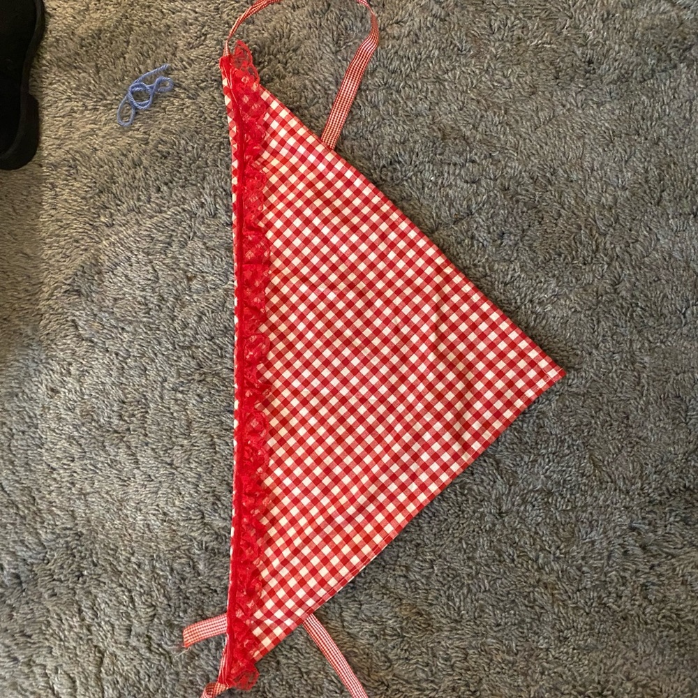 Red gingham handmade bandana style crop top